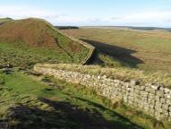 Photo of Wall mile 37. Credit: Rob Collins